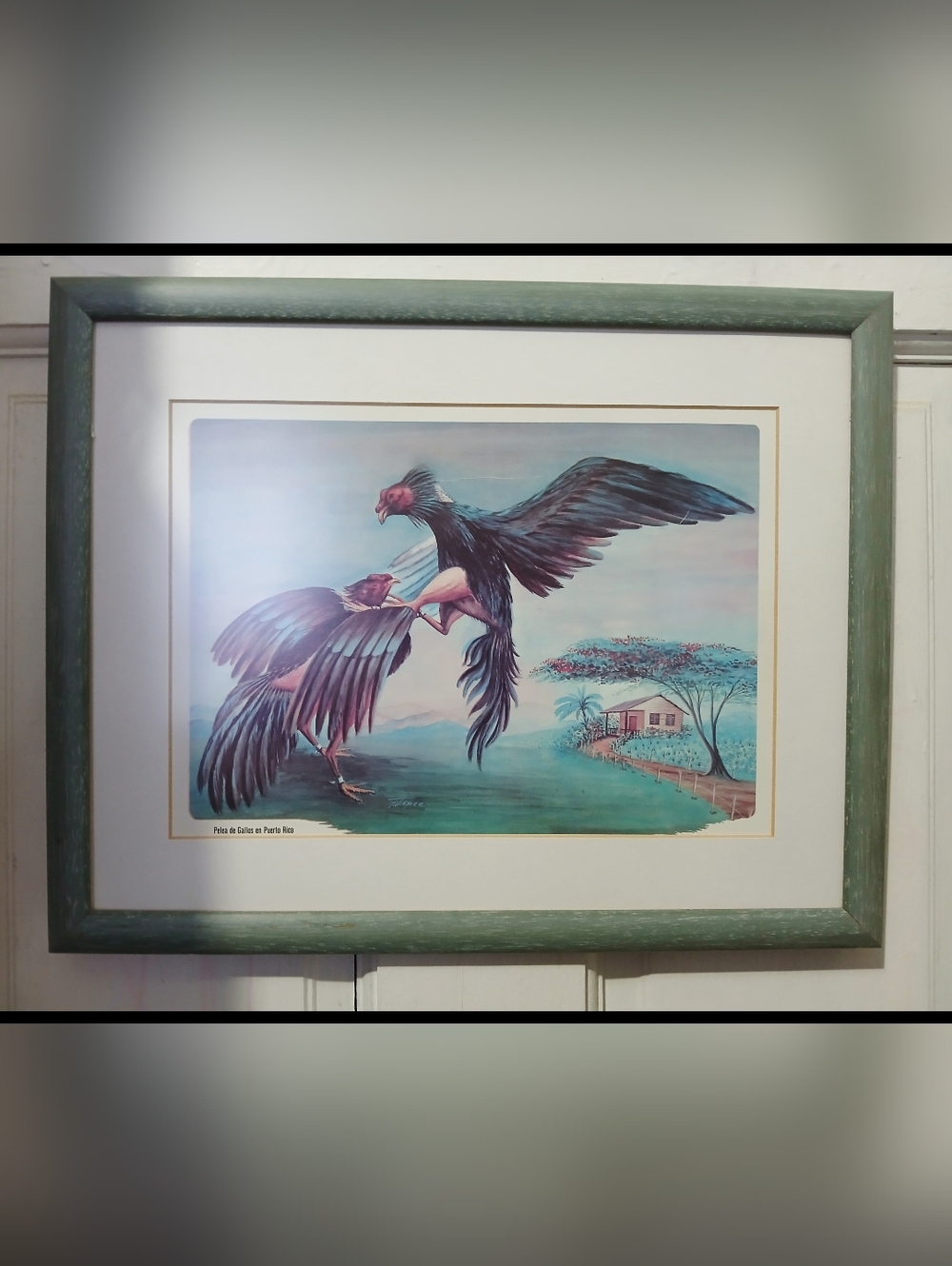 Framed Tropical Rooster Print in Teal Frame